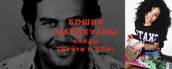 молекула духа Лихославль