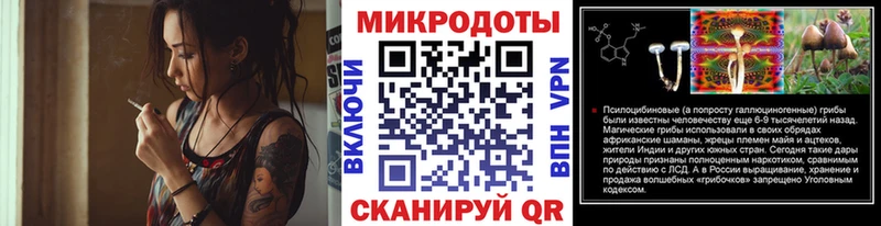 Галлюциногенные грибы Cubensis  Купить где  Тюмень 